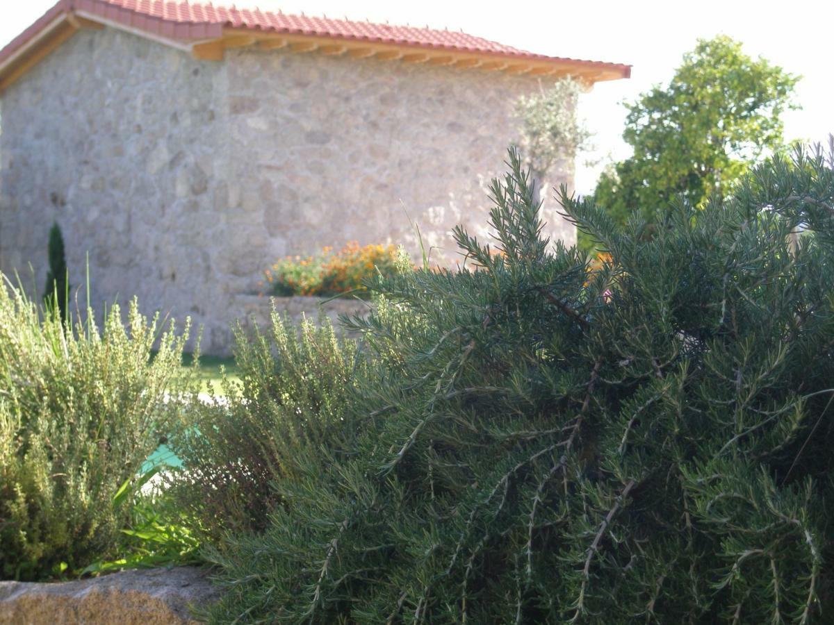 Eido Da Portela - Casa De Campo Carregadouro 外观 照片